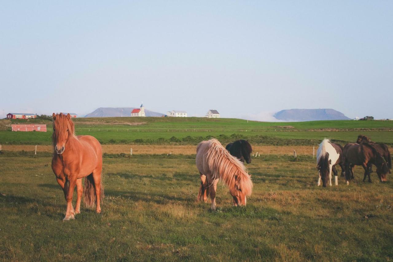Þórshöfn Sandur المظهر الخارجي الصورة