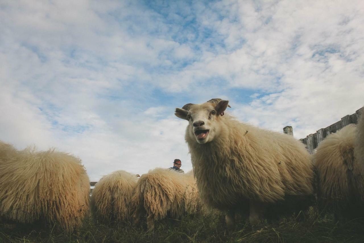 Þórshöfn Sandur المظهر الخارجي الصورة